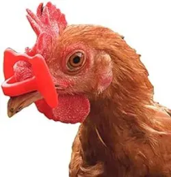 ANTI-EGG BREAKER HENS LENSES