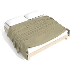 bed model