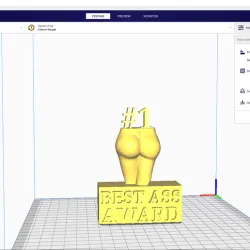 Best Ass Award