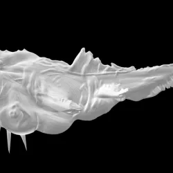 Deep Sea Lanternfish - Pez Linterna de las profundidades