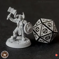 Dwarf Female Paladin with Shield