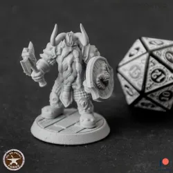 Dwarf Paladin Tank
