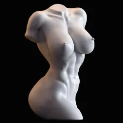 HUMAN BODY PART 002