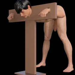 Man in Stocks