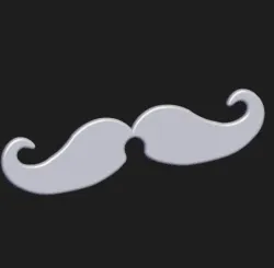 Moustache