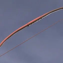 Samurai Bow