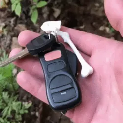skeleton Keychain