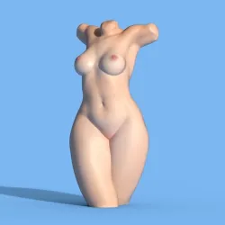 Torso_4