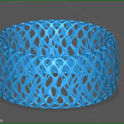 Voronoid Ring