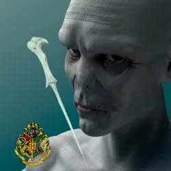 Wand / Wand Voldemort Tom Ryddle
