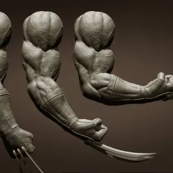 3 Wolverine arm poses