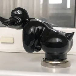 angry duck angry duck