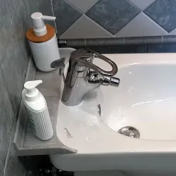 Bidet shelf