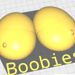 Boobies