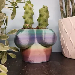 booby planter