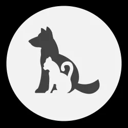 cat and dog wall art