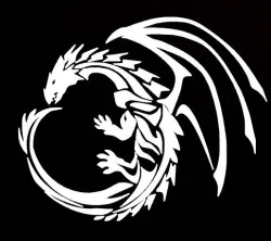 Dragon 2D