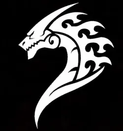 DRAGON 2D