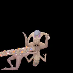 fairies