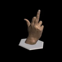 female middle finger / fuck / woman