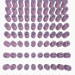 FILTER TIPS FILTROS FILTROS RANDOM FOR WEED V1 100 U READY TO PRINT PRINT IN PLACE