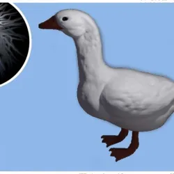 Goose