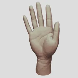 Hand Model（scanned by Revopoint MINI）