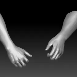 hands
