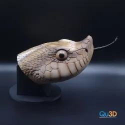 Hook-nosed snake- Heterodon nasicus