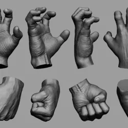 Male Hand Sculpt in 2 poses