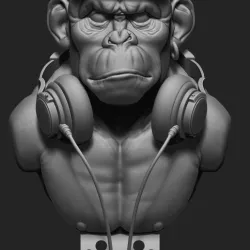 Monkey Rude