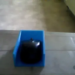 Mouse box