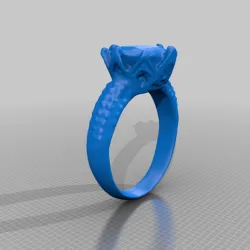 Ring（scanned by Revopoint MINI）