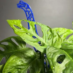 Sauropod Dinosaur Trellis/Plant Decoration
