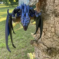 Silver Dragon