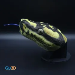 Snake Snake Morelia-spilota