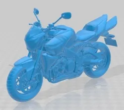Suzuki King B 2008 Printable Motorbike