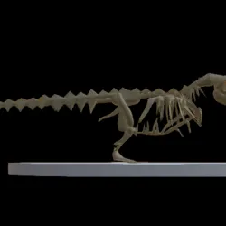 Trex skeleton.