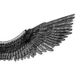Wing of the Raven - 6mm - (EAGLE ARMY/GALACTIC CRUSADER REMIX)