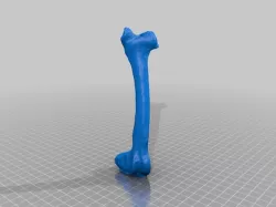 3D scan of a bone cast