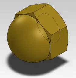 Acorn Nut