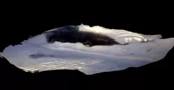 Black car art 3D model