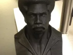 Black Dynamite Bust