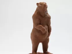 Brown Bear (Ursus arctos)