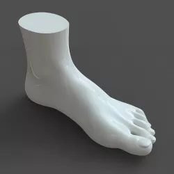 CAD compatible Woman Foot Model F1P1D0V1feet 3D model