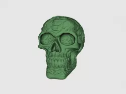Celtic Skull