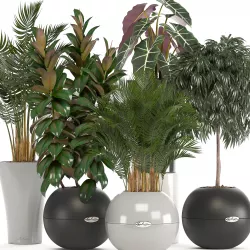 collection of plants in pots 3D model