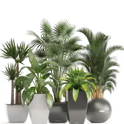 collection of plants in pots 3D model
