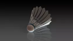 Deathless Shuttle