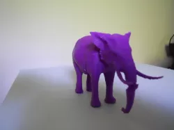 Elephant